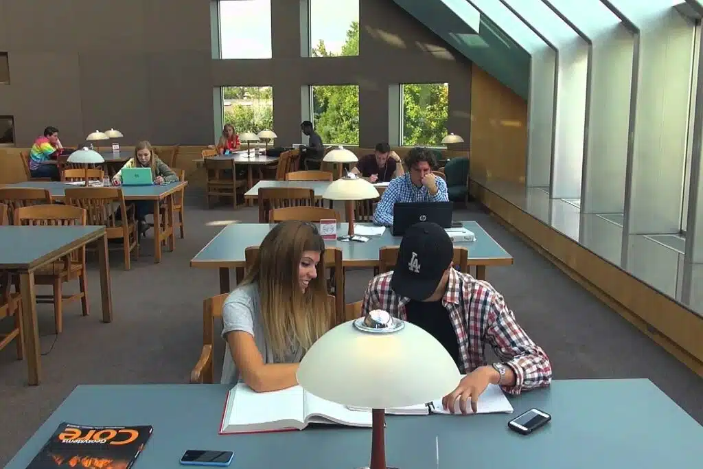 Student in campus library