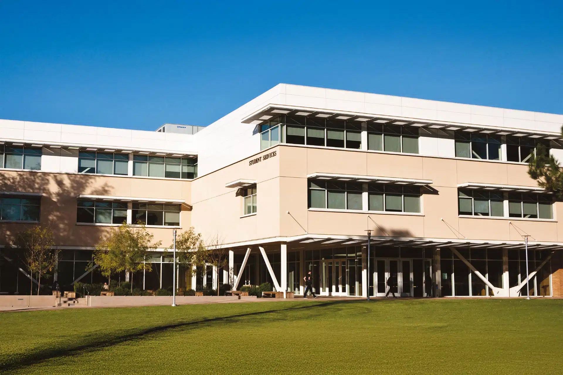 Universitiy scholarship